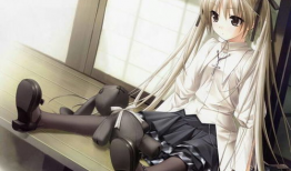 动漫人物介绍,探寻各具特色的动漫人物风采