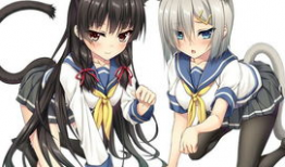 傲娇动漫,揭秘动漫中的独特魅力